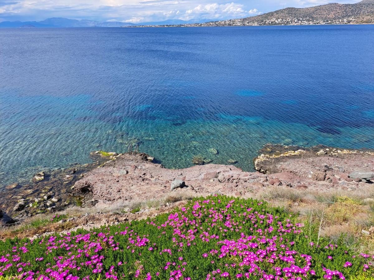 Almyra seaside Perdika (Aegina) Exterior foto