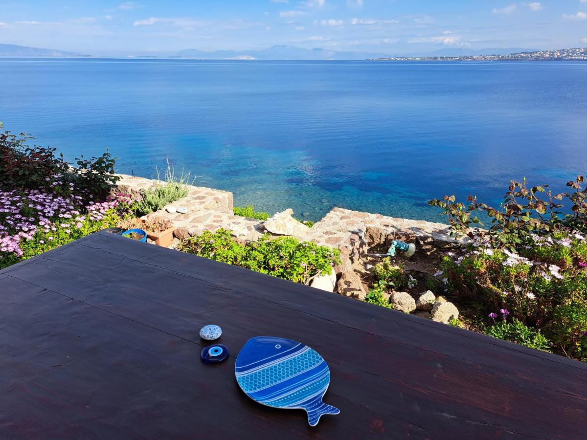 Almyra seaside Perdika (Aegina) Exterior foto